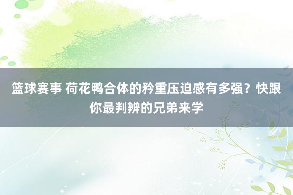 篮球赛事 荷花鸭合体的矜重压迫感有多强？快跟你最判辨的兄弟来学